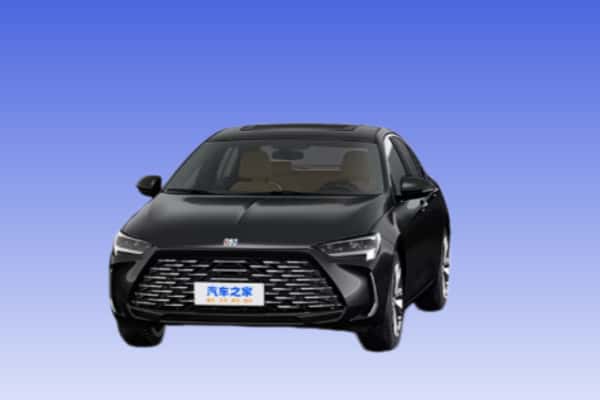 毕节市国产轿车寄卖.jpg